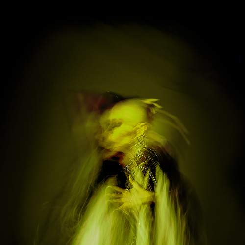 Photo #9033596