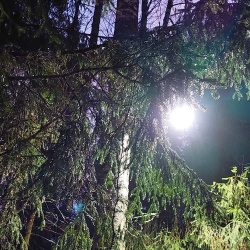 Photo #9033762
