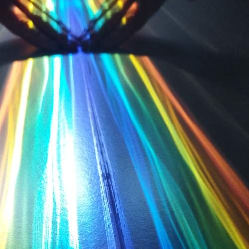 Photo #9034231