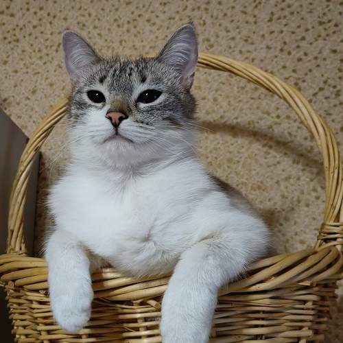 Царевна отдыхает