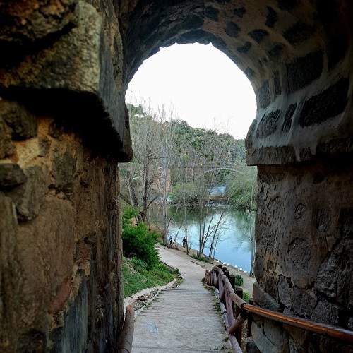 Tajo