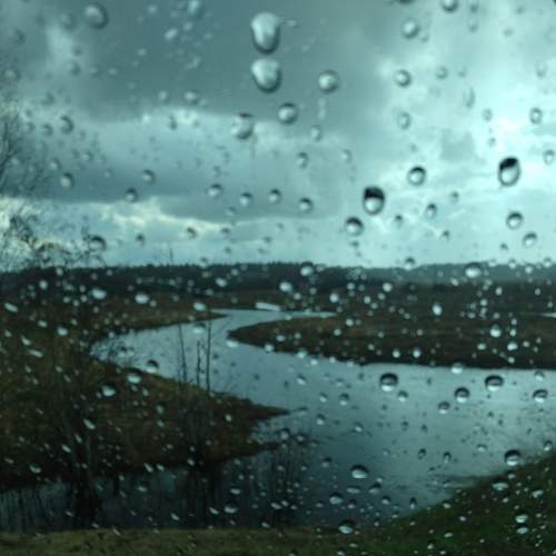 Photo #9034649