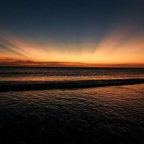 Photo #9035419