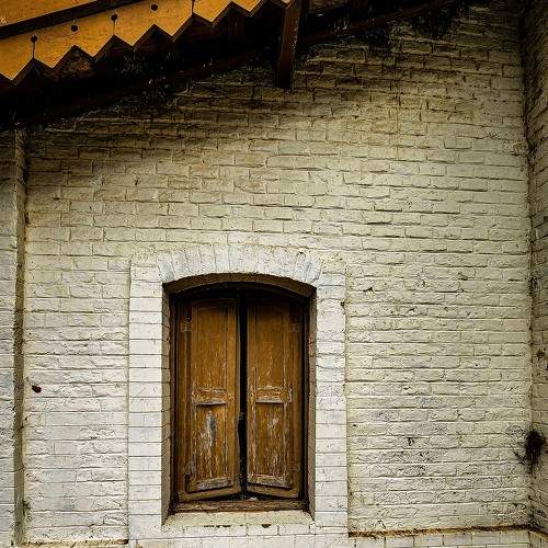 Photo #9035433