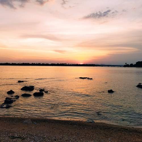 Photo #9035718