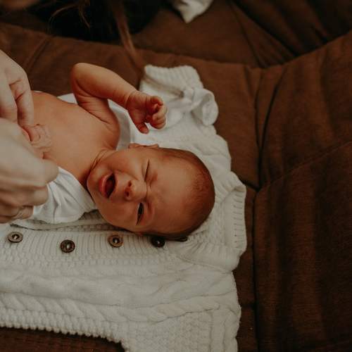 Photo #9036544