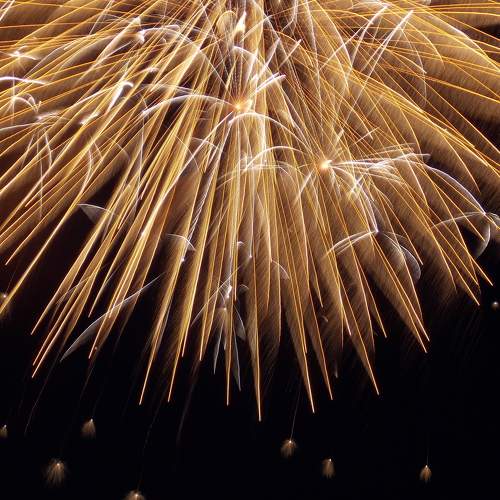 Photo #9036564