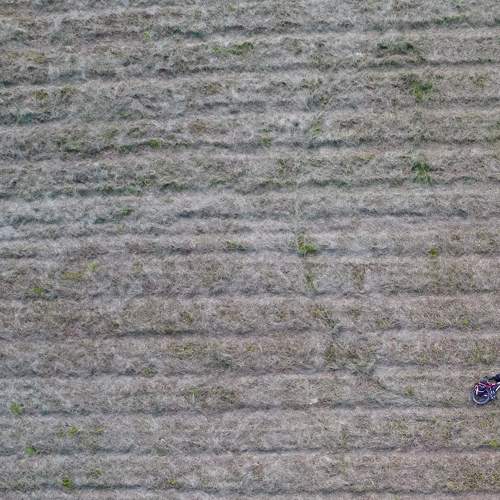 Photo #9037221