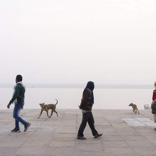 Photo #9037350