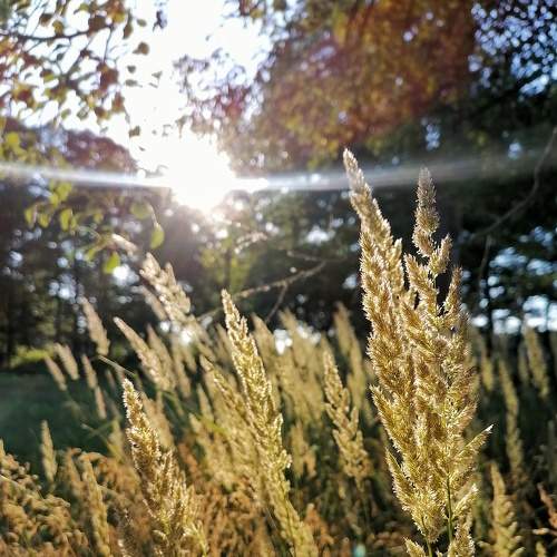 Photo #9037888