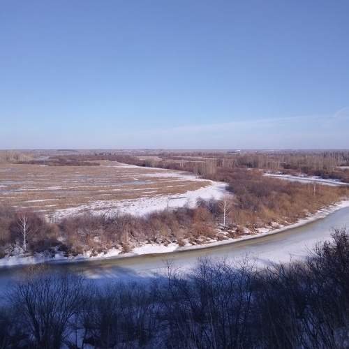 Photo #9039131