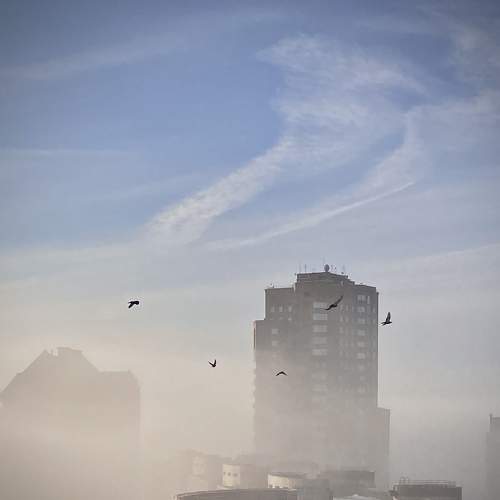 Photo #9039320