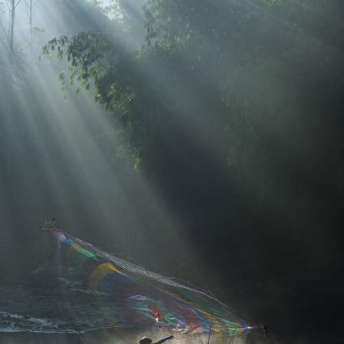 Photo #9039661