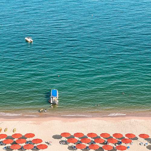 Photo #9039695