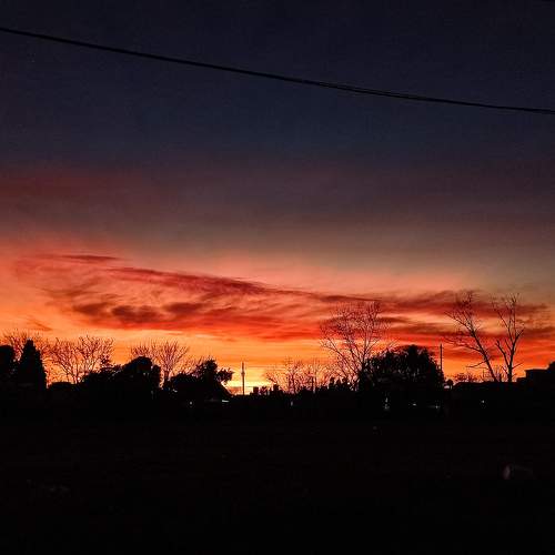 Photo #9039884