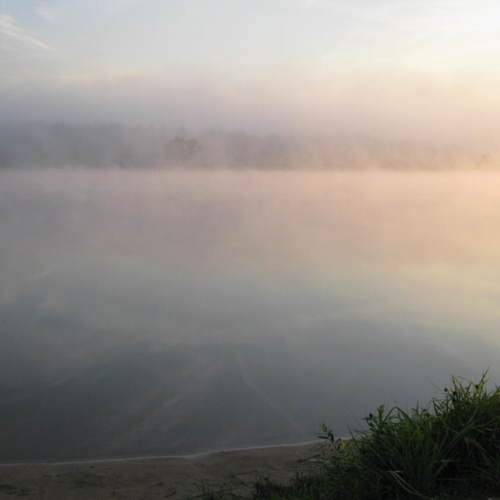 Photo #9040396