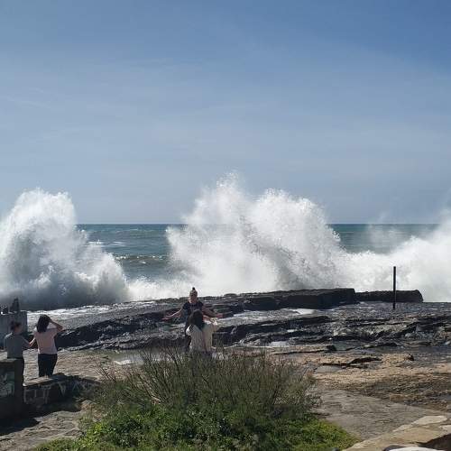 Photo #9040517