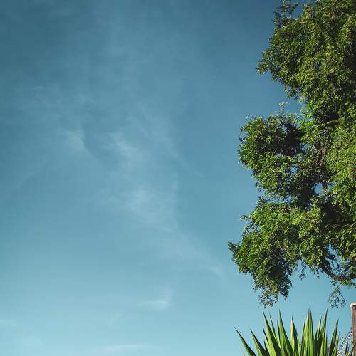 Photo #9040567