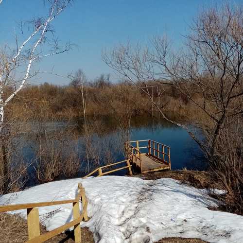 Photo #9040714