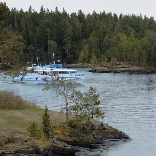 Photo #9040759