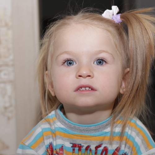 Photo #9040768