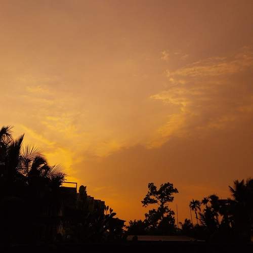 Photo #9041534