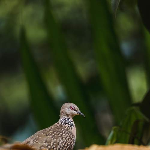 Photo #9041794