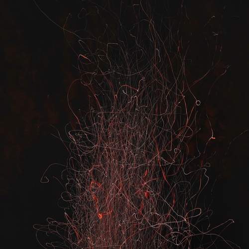 Photo #9042089