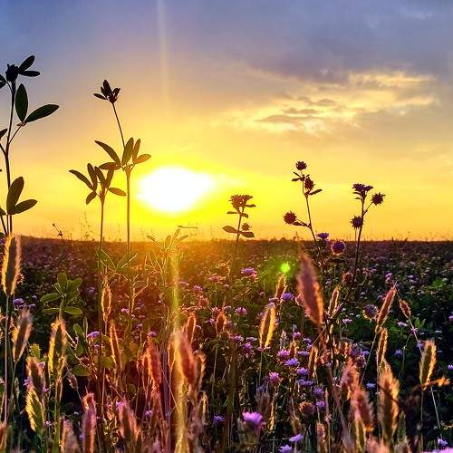 Wonderful Weather Sunset