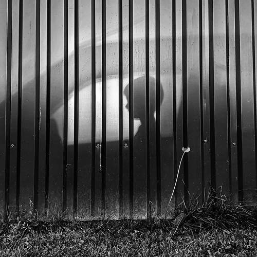 Photo #9043275