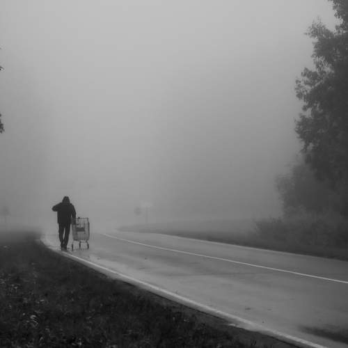 Photo #9043296