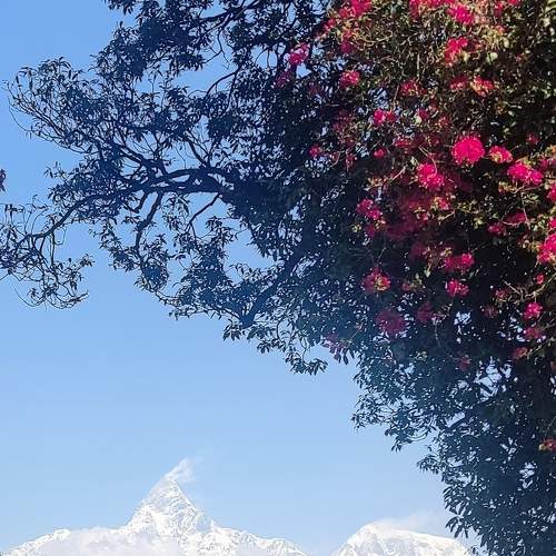 Photo #9043474