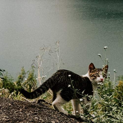 Photo #9043534