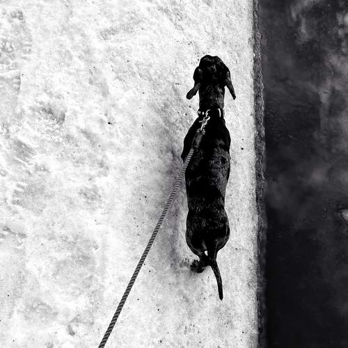 Photo #9043535