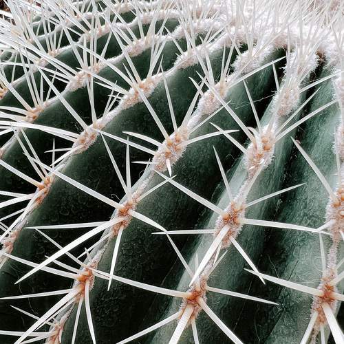 Photo #9043546