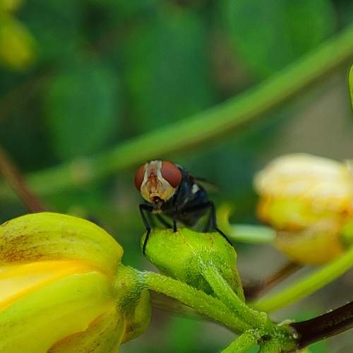 Photo #9043842