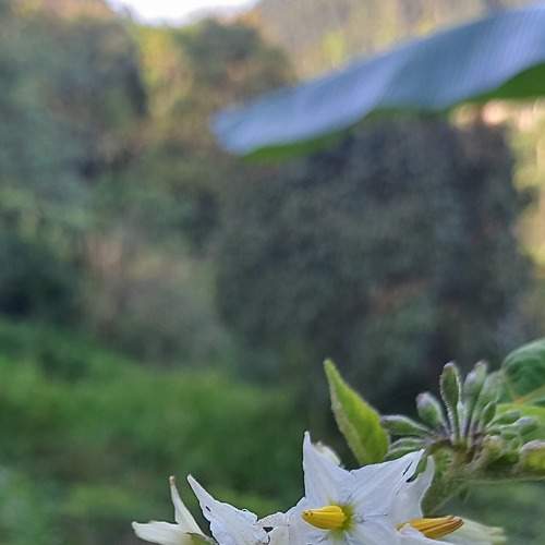 Photo #9043854