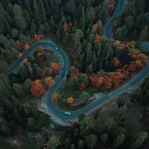 Photo #9043926