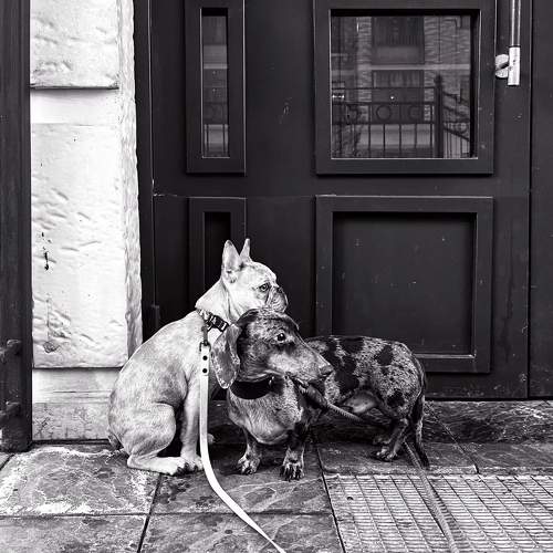 Photo #9044011