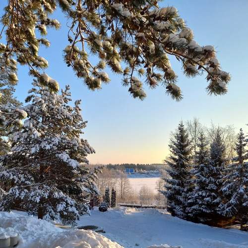 Photo #9044115