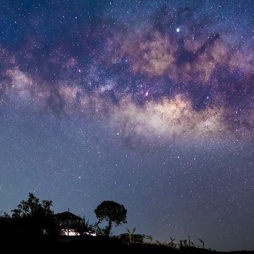 Photo #9044226