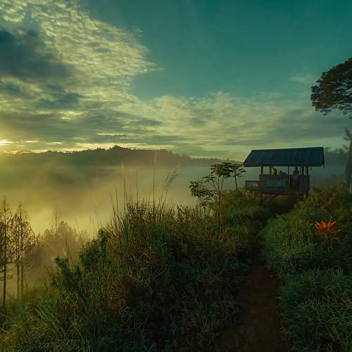 Photo #9044423