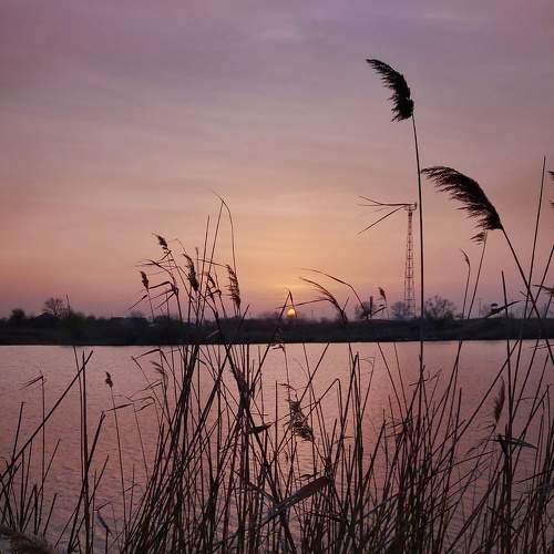 Photo #9044449