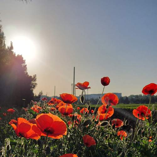 Photo #9044493