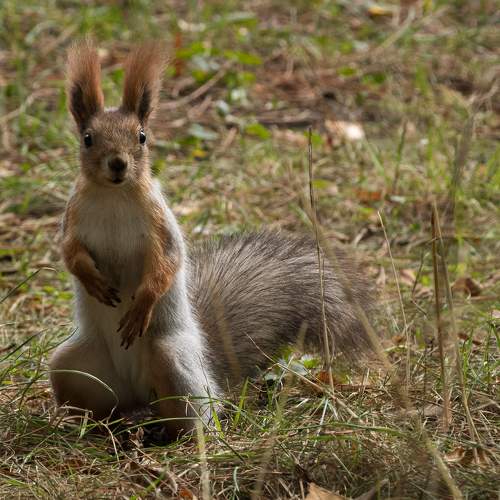 Photo #9044616