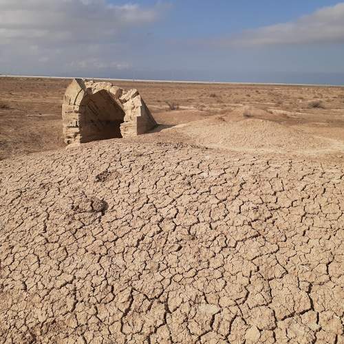Photo #9044620