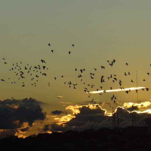 Photo #9044666