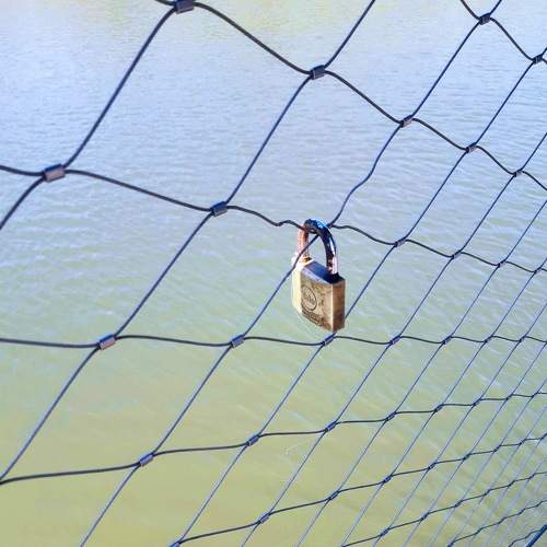 Photo #9044692