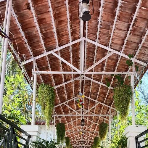 Photo #9044705