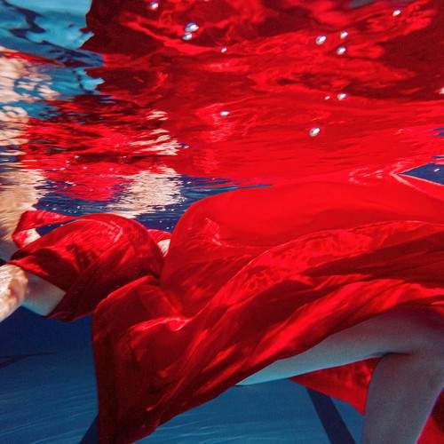 Photo #9044721